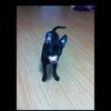 angie_elphick